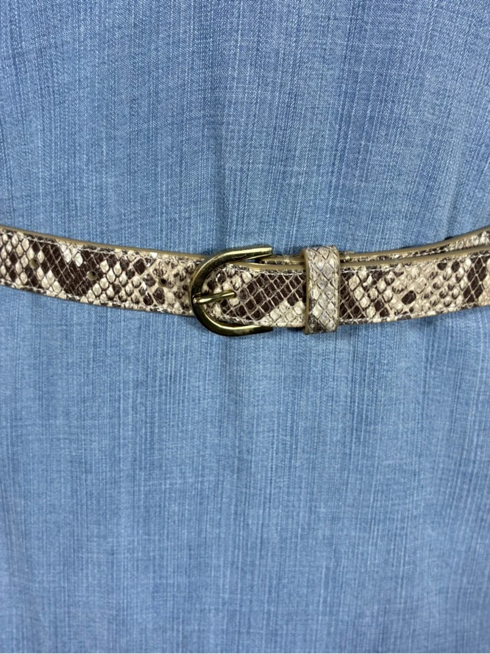 Talbots women’s belt Sz S Leather snake print